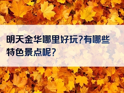 明天金华哪里好玩？有哪些特色景点呢？