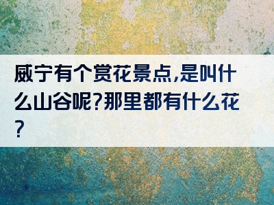威宁有个赏花景点，是叫什么山谷呢？那里都有什么花？