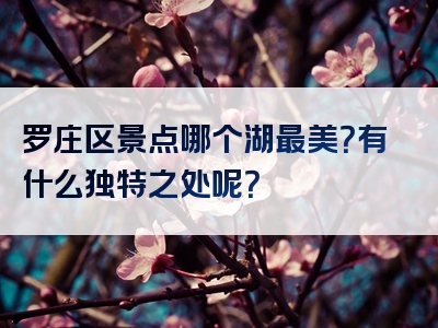 罗庄区景点哪个湖最美？有什么独特之处呢？