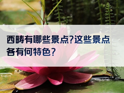 西畴有哪些景点？这些景点各有何特色？