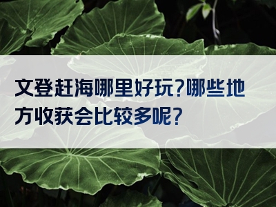 文登赶海哪里好玩？哪些地方收获会比较多呢？