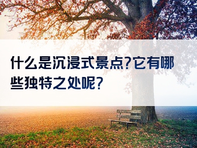 什么是沉浸式景点？它有哪些独特之处呢？