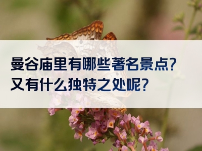 曼谷庙里有哪些著名景点？又有什么独特之处呢？