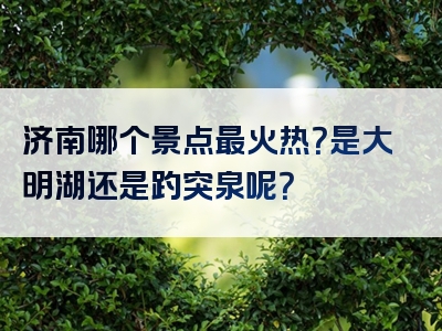 济南哪个景点最火热？是大明湖还是趵突泉呢？