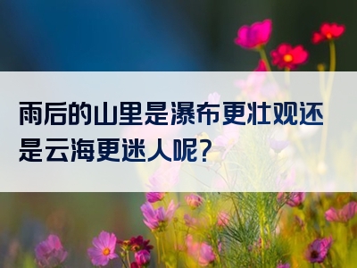 雨后的山里是瀑布更壮观还是云海更迷人呢？