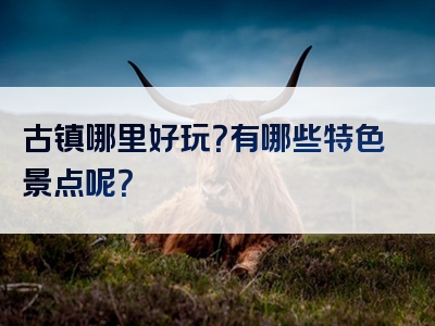古镇哪里好玩？有哪些特色景点呢？