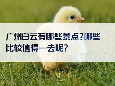 广州白云有哪些景点？哪些比较值得一去呢？