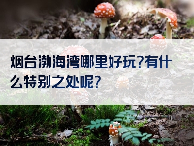 烟台渤海湾哪里好玩？有什么特别之处呢？
