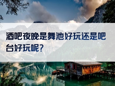 酒吧夜晚是舞池好玩还是吧台好玩呢？