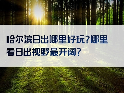 哈尔滨日出哪里好玩？哪里看日出视野最开阔？