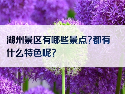 湖州景区有哪些景点？都有什么特色呢？