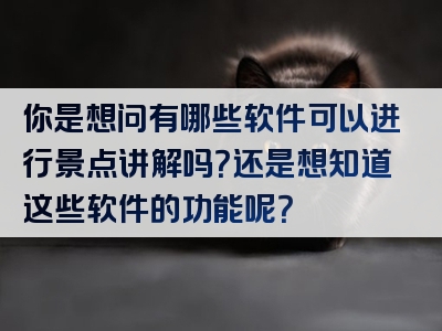 你是想问有哪些软件可以进行景点讲解吗？还是想知道这些软件的功能呢？