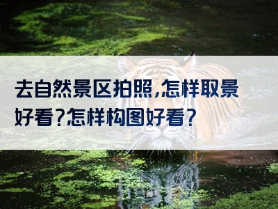 去自然景区拍照，怎样取景好看？怎样构图好看？