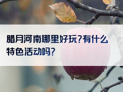 腊月河南哪里好玩？有什么特色活动吗？