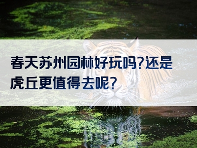 春天苏州园林好玩吗？还是虎丘更值得去呢？
