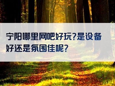 宁阳哪里网吧好玩？是设备好还是氛围佳呢？
