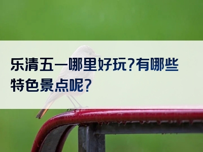 乐清五一哪里好玩？有哪些特色景点呢？