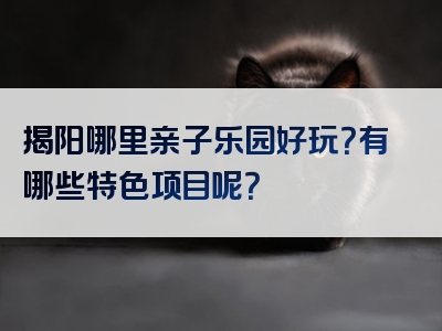 揭阳哪里亲子乐园好玩？有哪些特色项目呢？