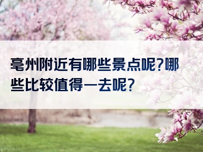 亳州附近有哪些景点呢？哪些比较值得一去呢？