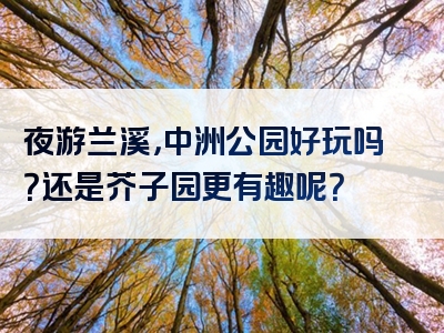 夜游兰溪，中洲公园好玩吗？还是芥子园更有趣呢？