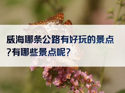 威海哪条公路有好玩的景点？有哪些景点呢？