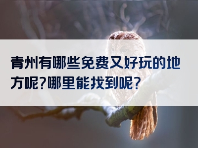 青州有哪些免费又好玩的地方呢？哪里能找到呢？