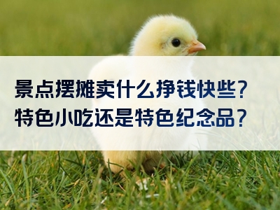 景点摆摊卖什么挣钱快些？特色小吃还是特色纪念品？