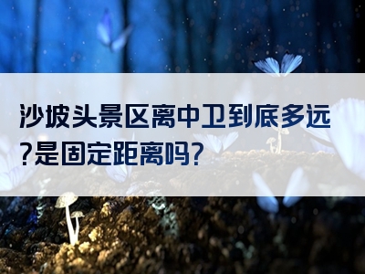 沙坡头景区离中卫到底多远？是固定距离吗？