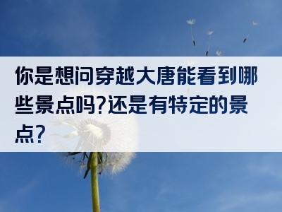 你是想问穿越大唐能看到哪些景点吗？还是有特定的景点？