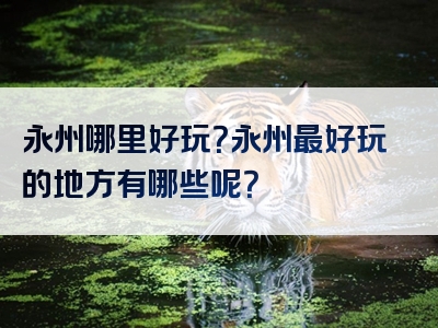 永州哪里好玩？永州最好玩的地方有哪些呢？