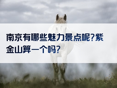 南京有哪些魅力景点呢？紫金山算一个吗？