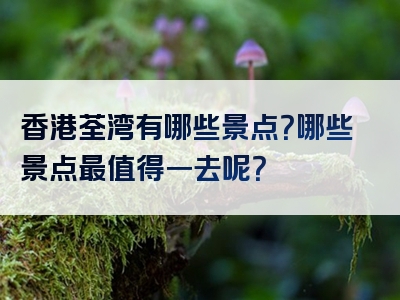香港荃湾有哪些景点？哪些景点最值得一去呢？