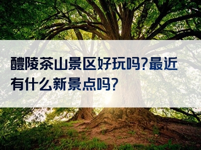 醴陵茶山景区好玩吗？最近有什么新景点吗？