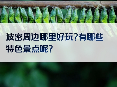 波密周边哪里好玩？有哪些特色景点呢？
