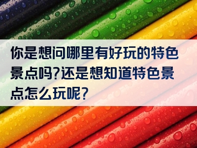 你是想问哪里有好玩的特色景点吗？还是想知道特色景点怎么玩呢？