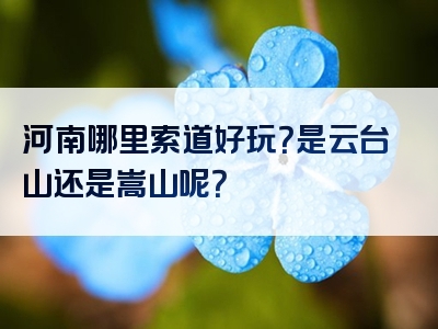 河南哪里索道好玩？是云台山还是嵩山呢？