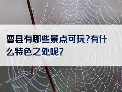 曹县有哪些景点可玩？有什么特色之处呢？