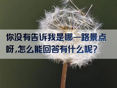 你没有告诉我是哪一路景点呀，怎么能回答有什么呢？