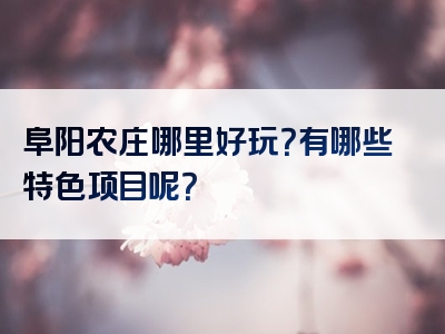 阜阳农庄哪里好玩？有哪些特色项目呢？