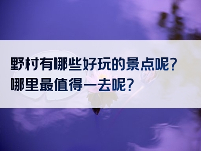 野村有哪些好玩的景点呢？哪里最值得一去呢？