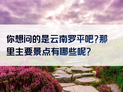 你想问的是云南罗平吧？那里主要景点有哪些呢？