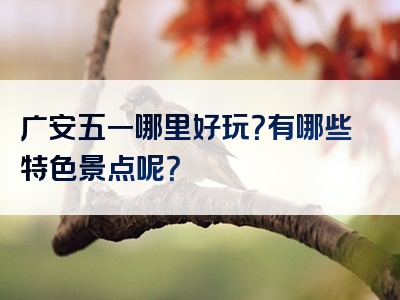 广安五一哪里好玩？有哪些特色景点呢？