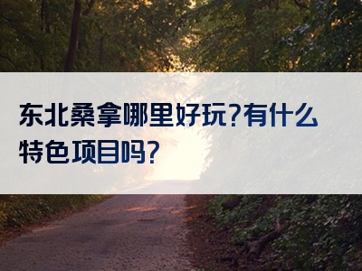 东北桑拿哪里好玩？有什么特色项目吗？