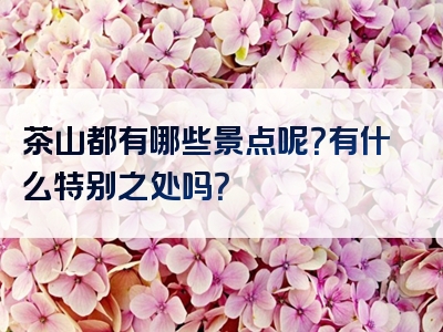 茶山都有哪些景点呢？有什么特别之处吗？