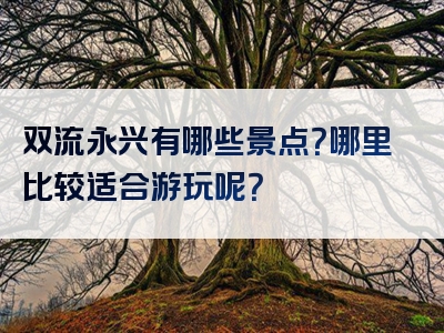 双流永兴有哪些景点？哪里比较适合游玩呢？