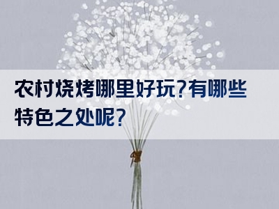 农村烧烤哪里好玩？有哪些特色之处呢？