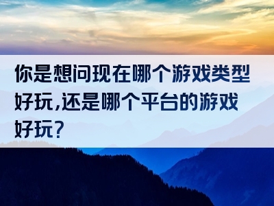 你是想问现在哪个游戏类型好玩，还是哪个平台的游戏好玩？