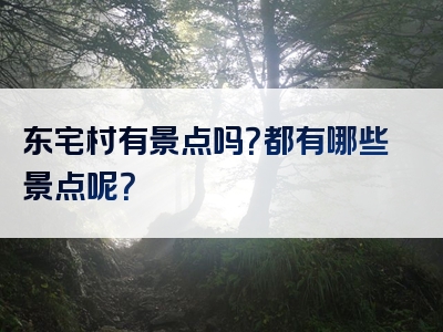 东宅村有景点吗？都有哪些景点呢？