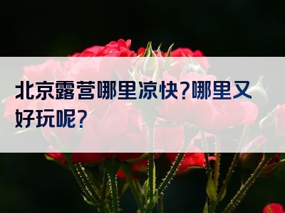 北京露营哪里凉快？哪里又好玩呢？
