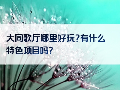 大同歌厅哪里好玩？有什么特色项目吗？